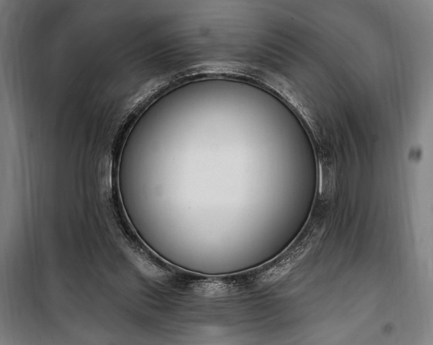 X0000100320253200806121110