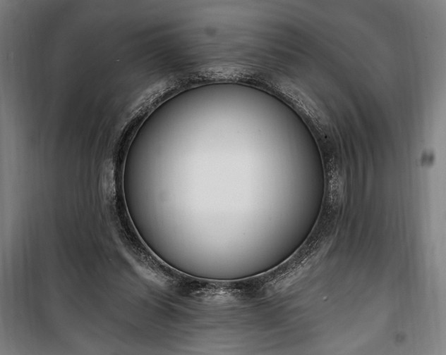 X0000100320254200806121110