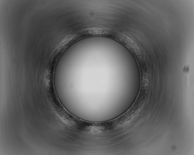 X0000100320255200806121110