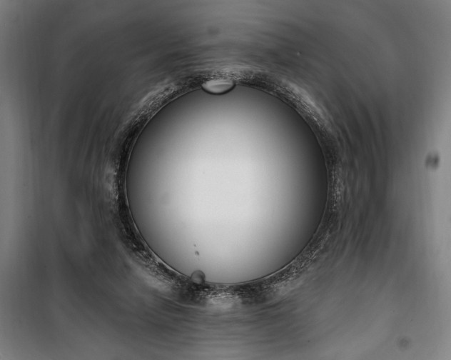 X0000100320258200806121110