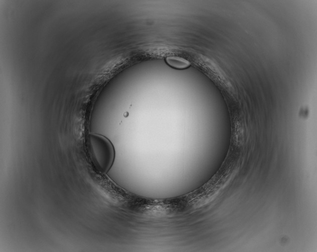 X0000100320259200806121111