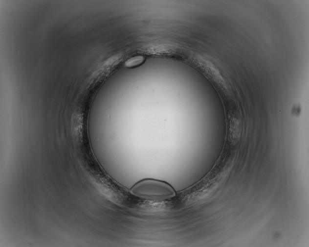 X0000100320260200806121111