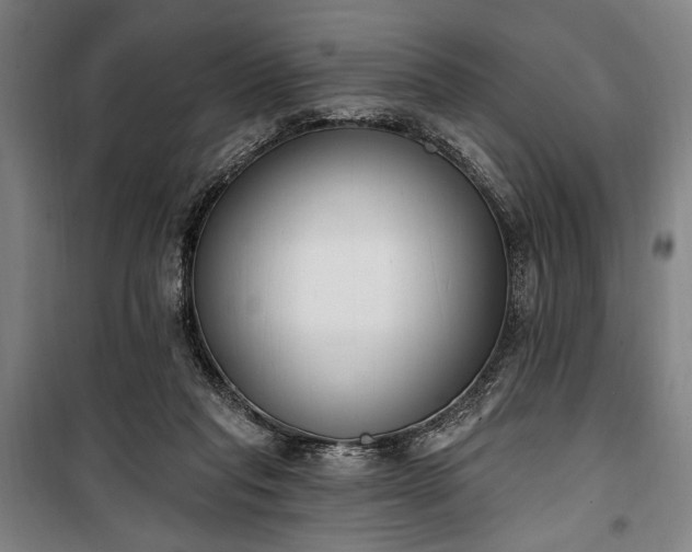 X0000100320261200806121111