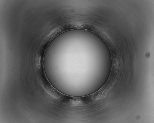 X0000100320262200806121111