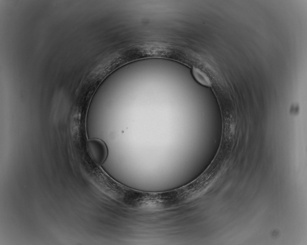 X0000100320263200806121111