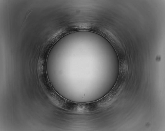 X0000100320264200806121111