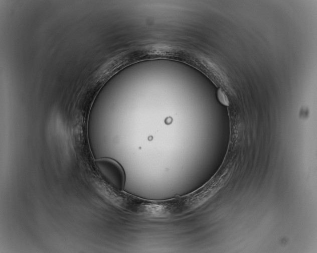 X0000100320265200806121111