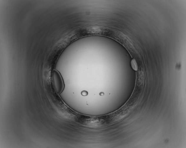 X0000100320267200806121111