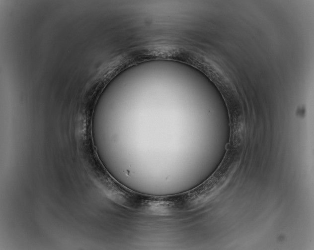 X0000100320268200806121111