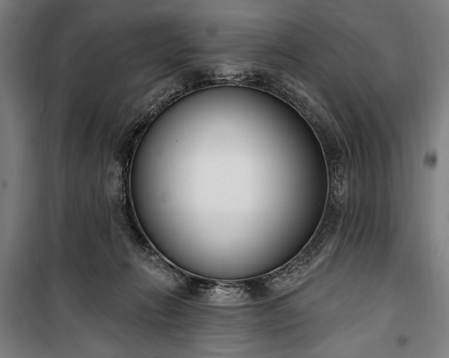 X0000100320270200806121111