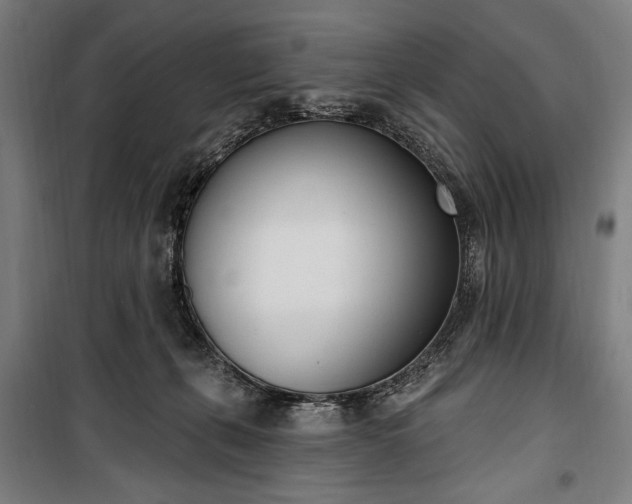 X0000100320271200806121111