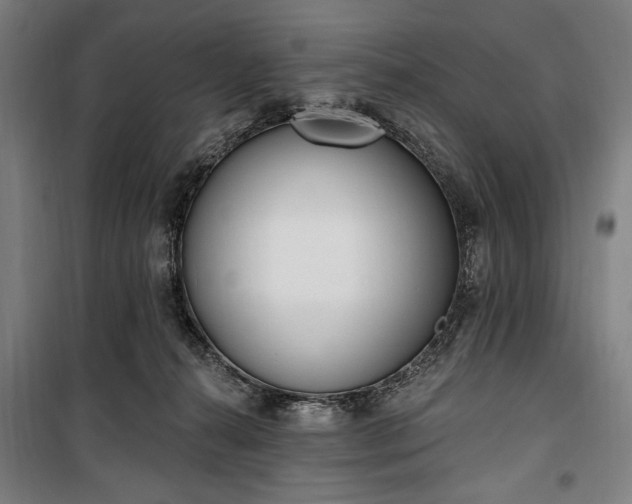 X0000100320272200806121111