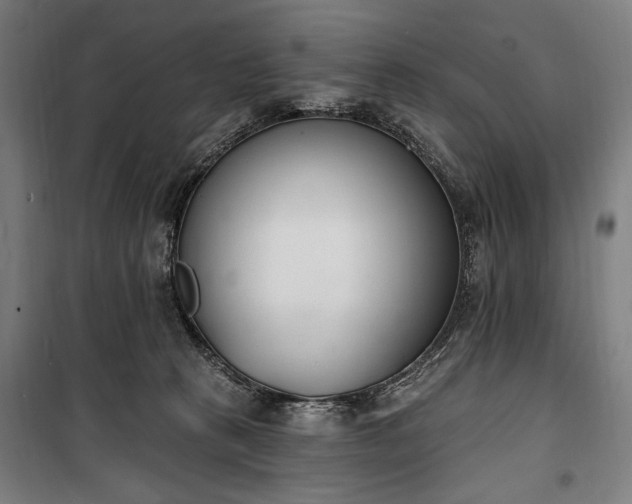 X0000100320273200806121111