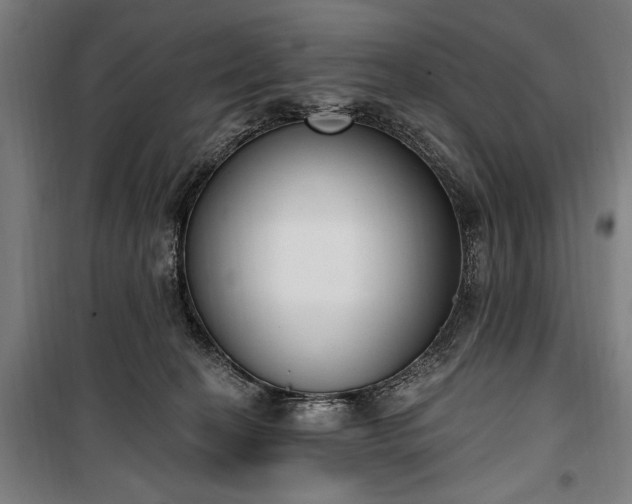 X0000100320274200806121111