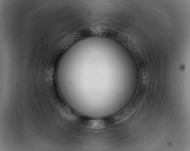 X0000100320275200806121111