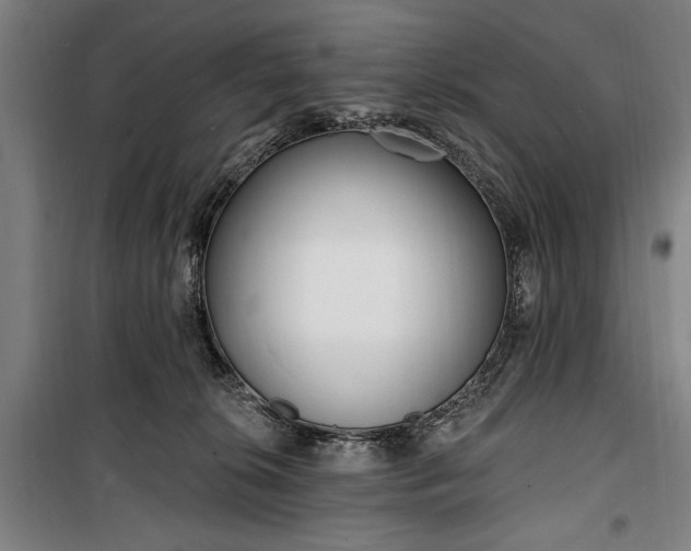 X0000100320276200806121111