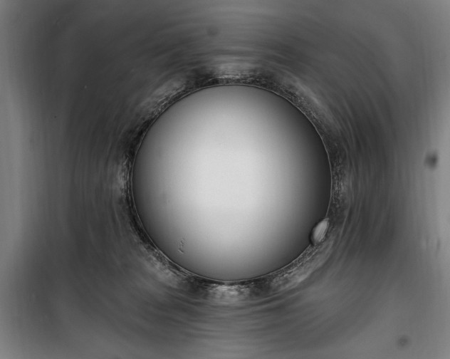 X0000100320277200806121111