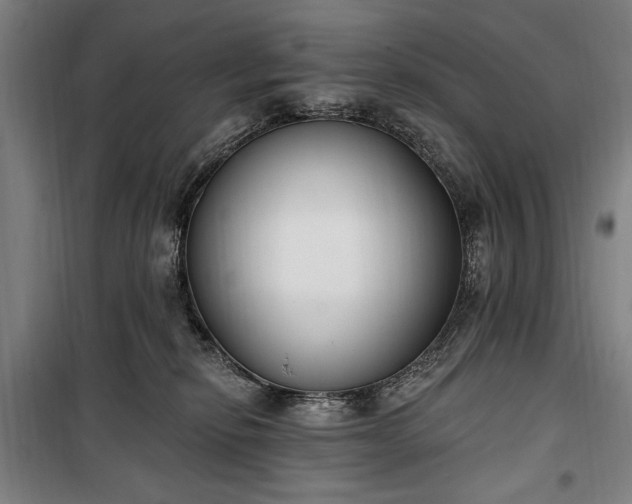 X0000100320278200806121111