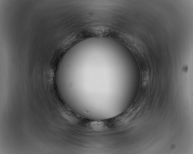 X0000100320279200806121111