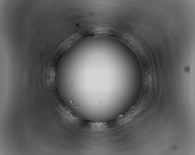 X0000100320281200806121111