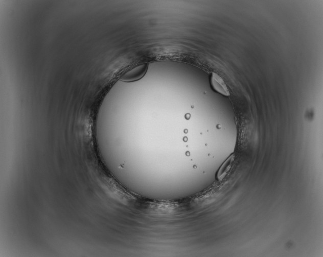 X0000100320282200806121111