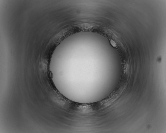 X0000100320283200806121111