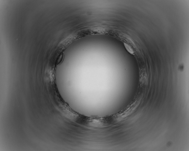 X0000100320285200806121111