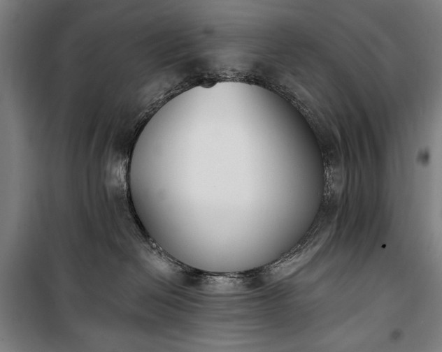 X0000100320286200806121111