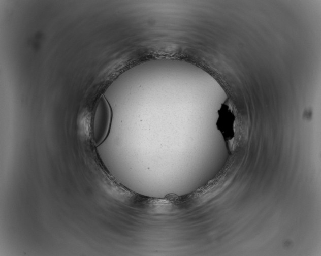 X0000100320287200806121111