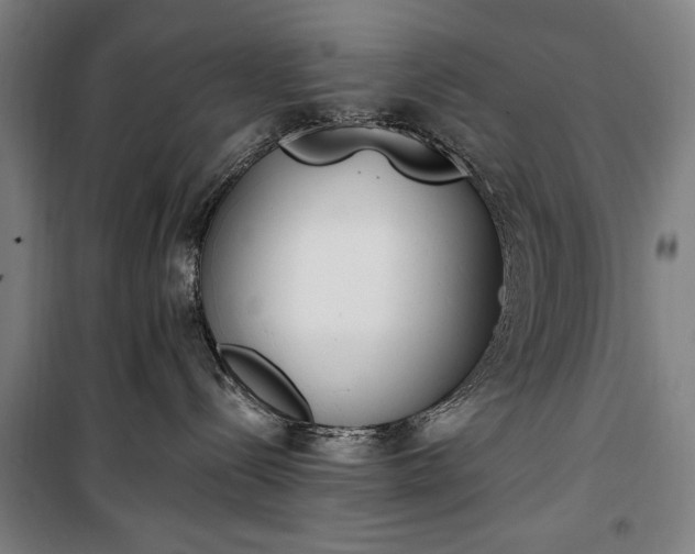 X0000100320288200806121111