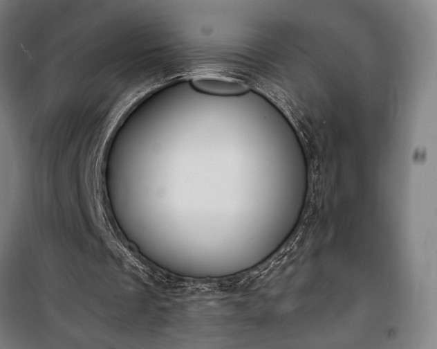 X0000100320289200806121110