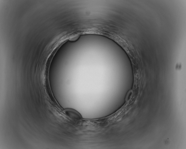 X0000100320290200806121110