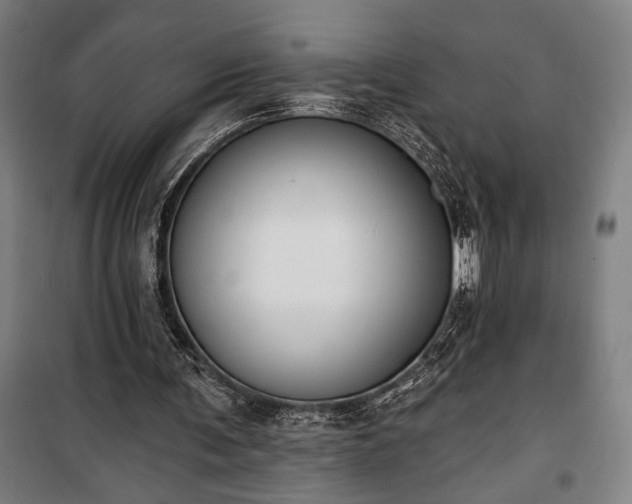 X0000100320291200806121110