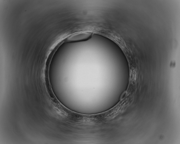 X0000100320292200806121110