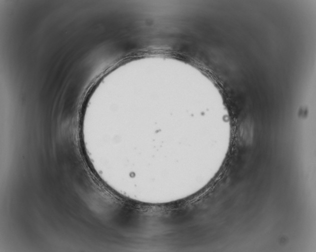 X0000100320293200806121110