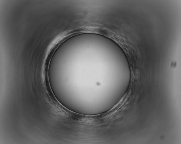 X0000100320294200806121110