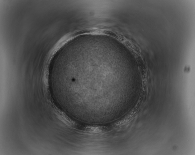 X0000100320295200806121110