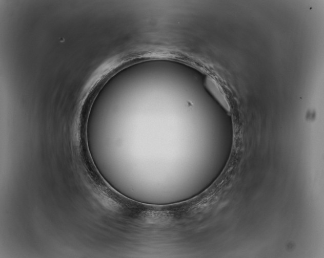 X0000100320296200806121110