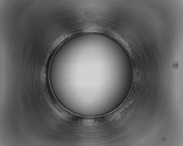 X0000100320298200806121110