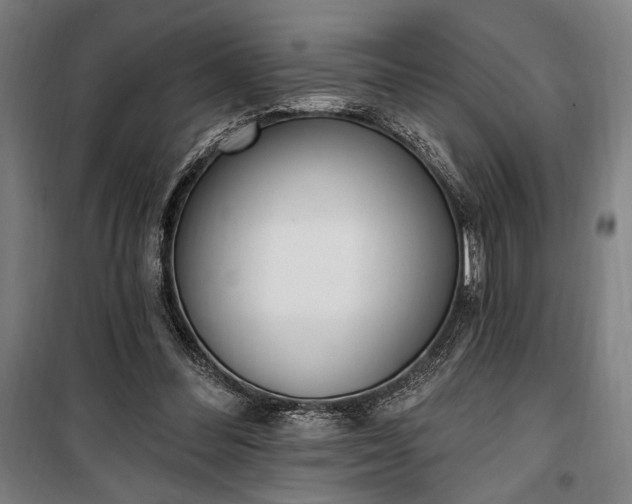 X0000100320300200806121110