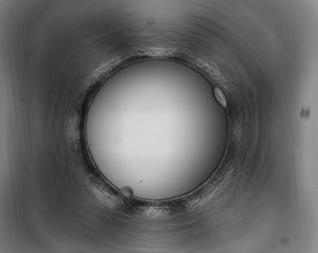 X0000100320303200806121110