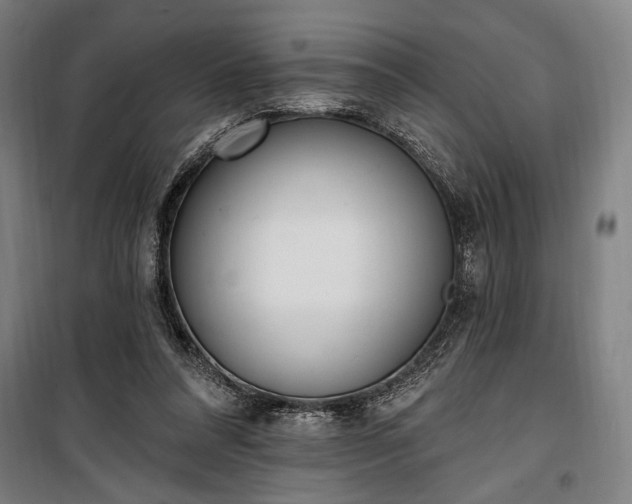 X0000100320304200806121110