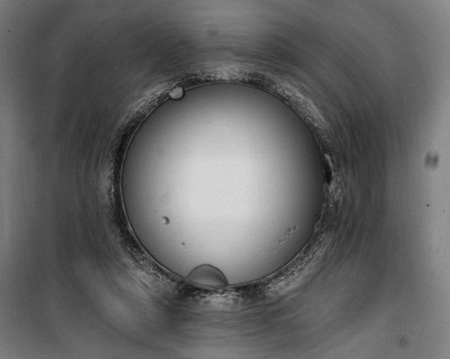 X0000100320306200806121110