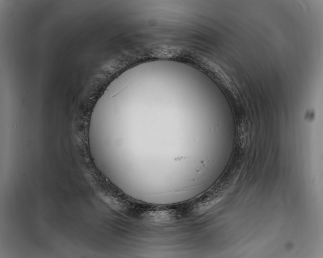 X0000100320307200806121110