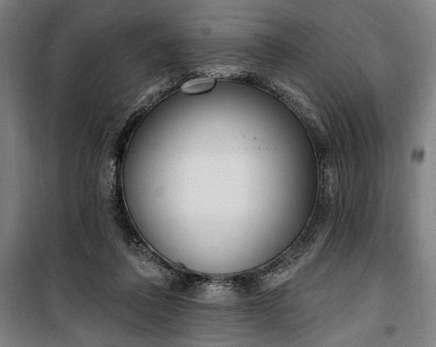 X0000100320308200806121110