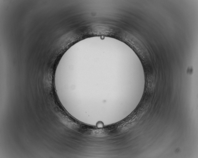 X0000100320309200806121110