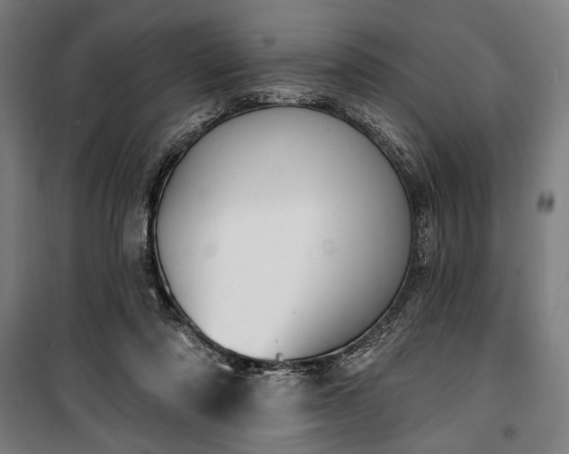 X0000100320310200806121110