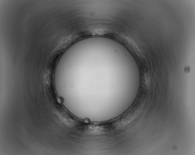 X0000100320311200806121110