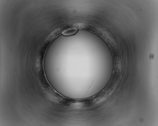 X0000100320312200806121110