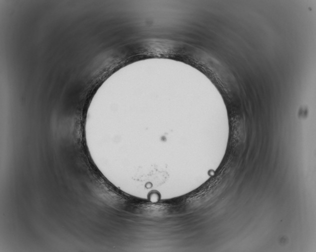 X0000100320313200806121110